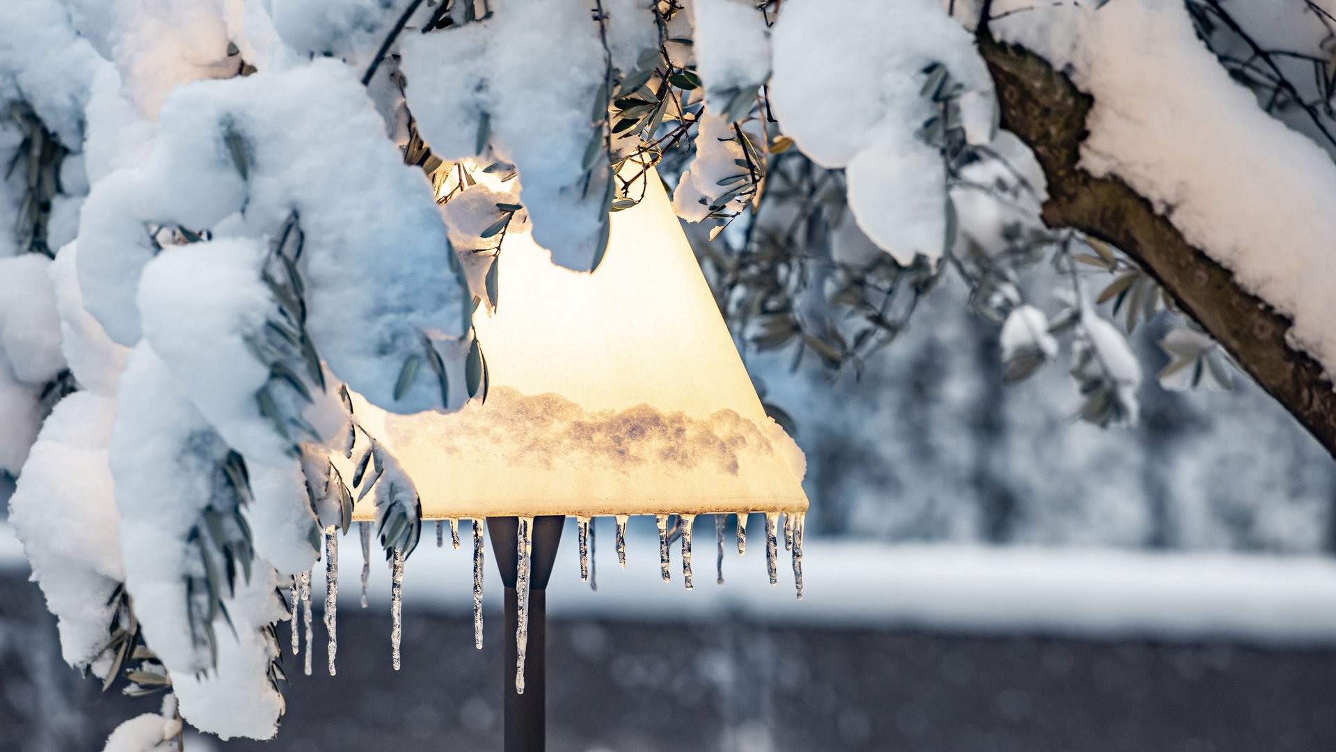 Die Vorweihnachtszeit im Quellenhof