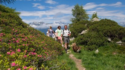 Luxus-Wellness auf höchstem Niveau