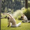 Wellness di lusso e qualità alle stelle